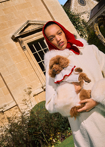 Shrimps World – shrimps