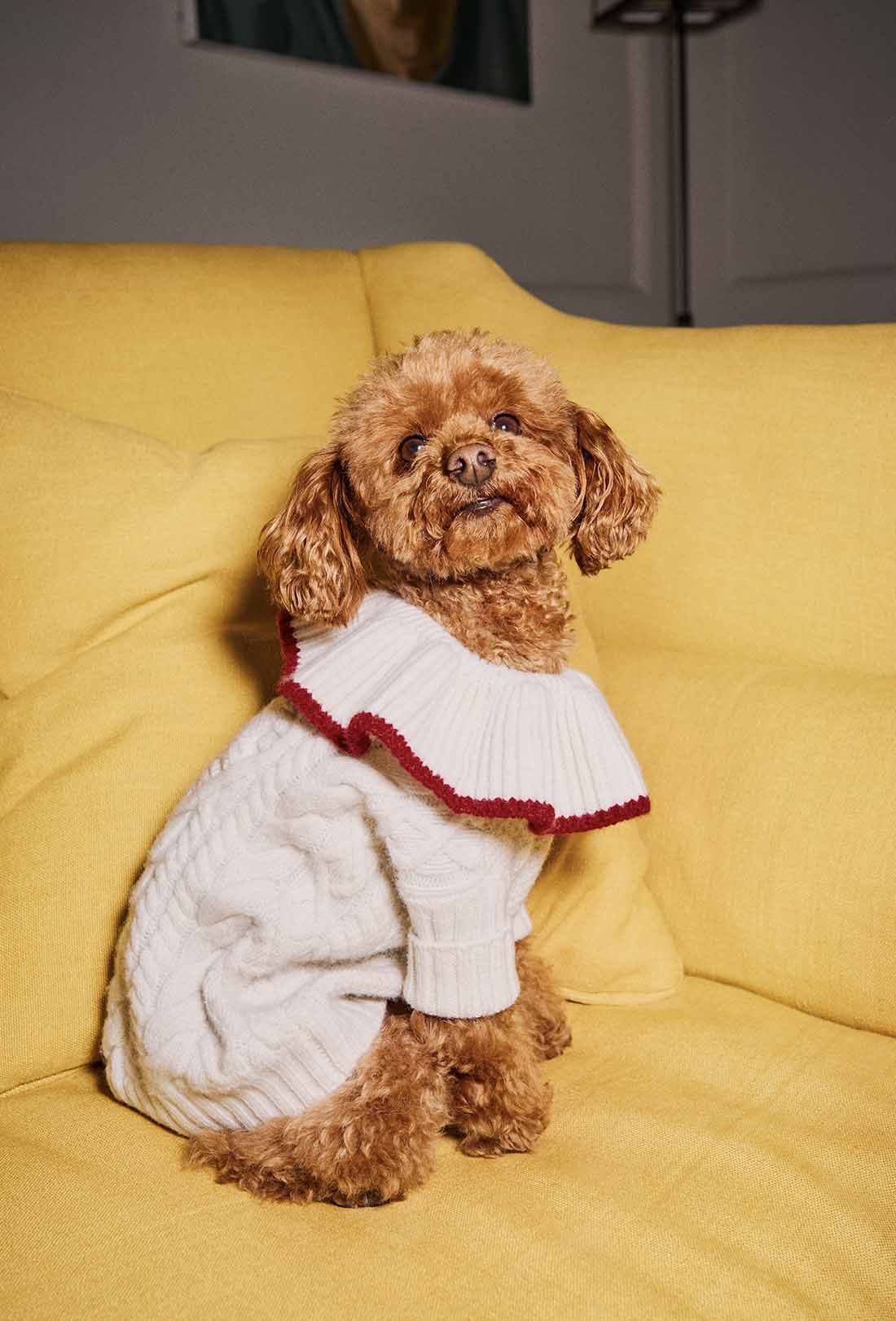 Shrimps x Reformation Chip Regenerative Wool Dog Jumper - Arctic